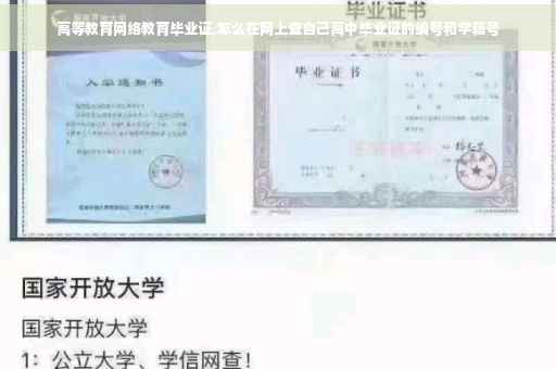 高等教育网络教育毕业证,怎么在网上查自己高中毕业证的编号和学籍号