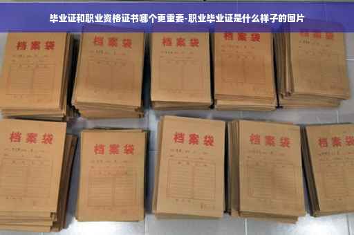 毕业证和职业资格证书哪个更重要-职业毕业证是什么样子的图片