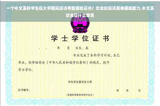 一个中文系的学生在大学期间应该考取哪些证书？毕业时应该具备哪些能力,中文系毕业证什么意思