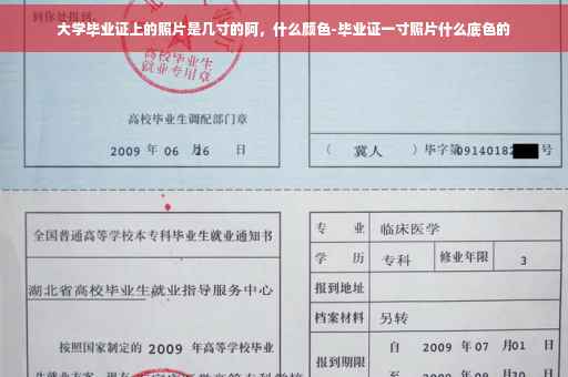 大学毕业证上的照片是几寸的阿，什么颜色-毕业证一寸照片什么底色的