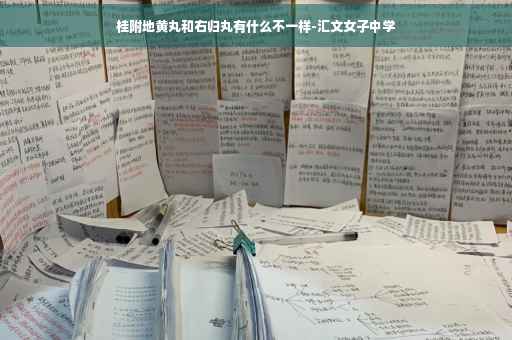 桂附地黄丸和右归丸有什么不一样-汇文女子中学