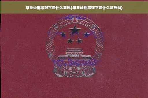 毕业证那串数字是什么意思(毕业证那串数字是什么意思啊)