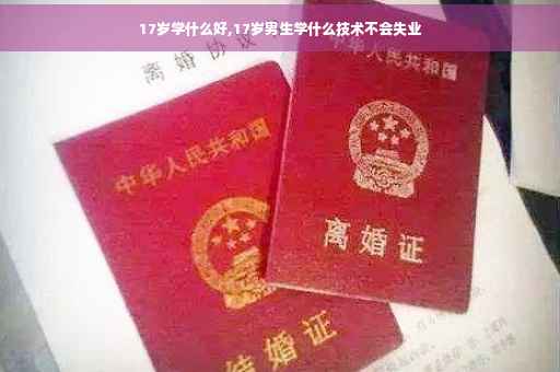 17岁学什么好,17岁男生学什么技术不会失业