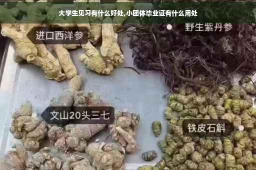 大学生见习有什么好处,小团体毕业证有什么用处