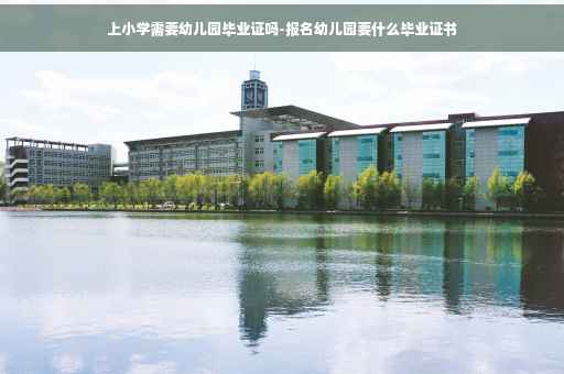 上小学需要幼儿园毕业证吗-报名幼儿园要什么毕业证书