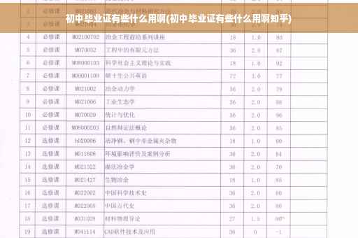 初中毕业证有些什么用啊(初中毕业证有些什么用啊知乎)