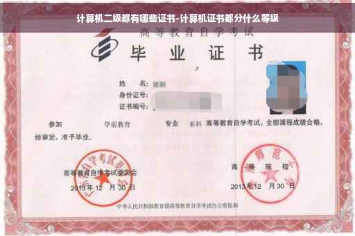 计算机二级都有哪些证书-计算机证书都分什么等级