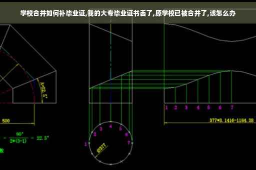 学校合并如何补毕业证,我的大专毕业证书丢了,原学校已被合并了,该怎么办