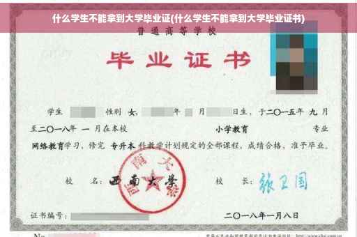 什么学生不能拿到大学毕业证(什么学生不能拿到大学毕业证书)