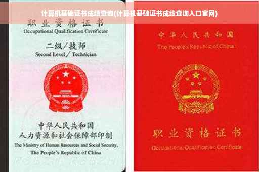 计算机基础证书成绩查询(计算机基础证书成绩查询入口官网)