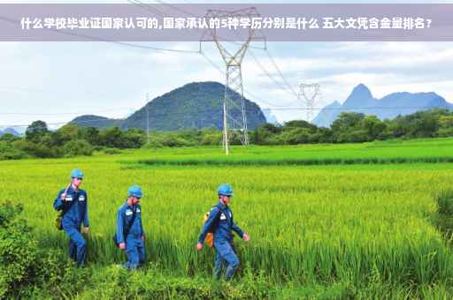 什么学校毕业证国家认可的,国家承认的5种学历分别是什么 五大文凭含金量排名?