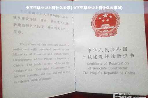 小学生毕业证上有什么要求(小学生毕业证上有什么要求吗)