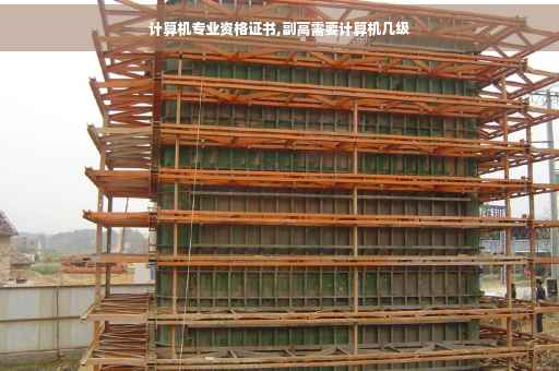 计算机专业资格证书,副高需要计算机几级