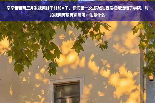 辛辛苦苦两三月发视频终于能加V了，你们第一次成功没,西瓜视频选错了学院，对拍视频有没有影响呢？注意什么