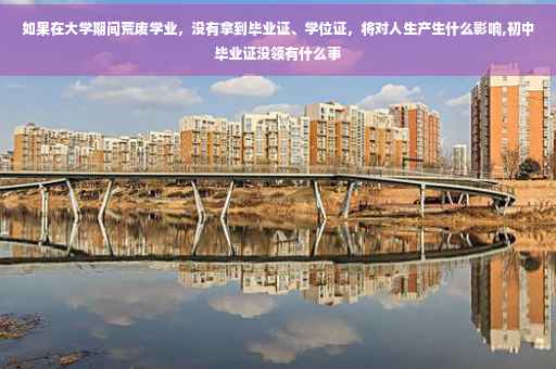 如果在大学期间荒废学业，没有拿到毕业证、学位证，将对人生产生什么影响,初中毕业证没领有什么事