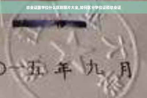 毕业证跟学位什么区别图片大全,如何区分学位证和毕业证