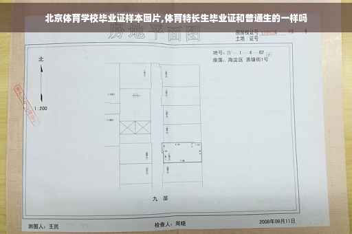 北京体育学校毕业证样本图片,体育特长生毕业证和普通生的一样吗