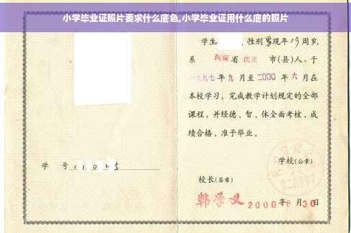 小学毕业证照片要求什么底色,小学毕业证用什么底的照片