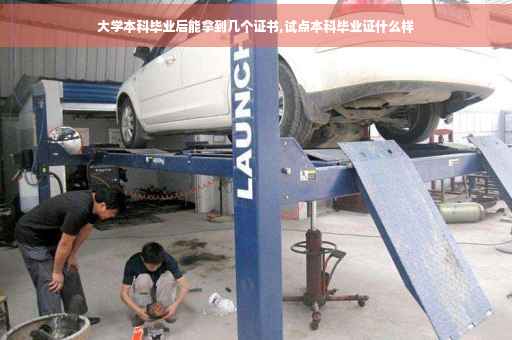 大学本科毕业后能拿到几个证书,试点本科毕业证什么样