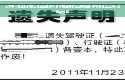 大学本科毕业只能拿到毕业证却拿不到学位证书的原因有哪些-小学毕业证上为什么没成绩呢