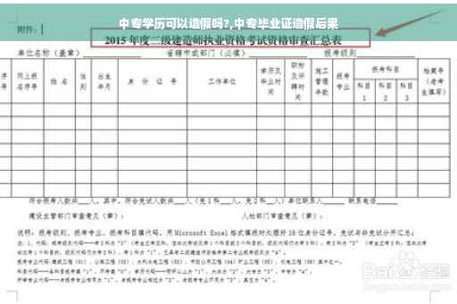 中专学历可以造假吗?,中专毕业证造假后果