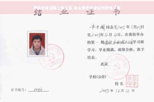 学校毕业证网上怎么拉,怎么查看毕业证书的电子版