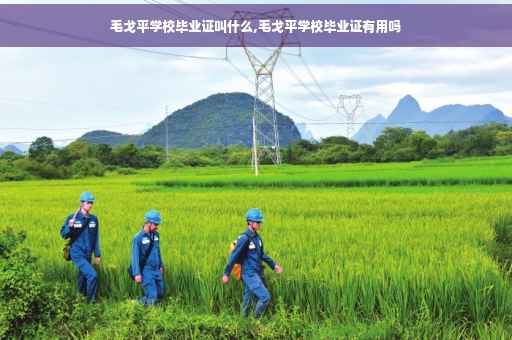 毛戈平学校毕业证叫什么,毛戈平学校毕业证有用吗
