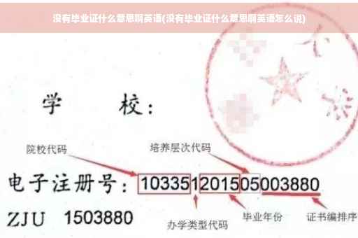 没有毕业证什么意思啊英语(没有毕业证什么意思啊英语怎么说)