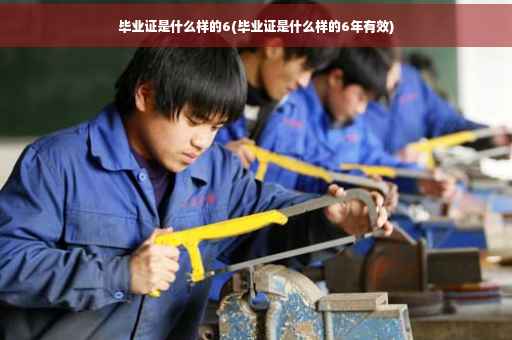 毕业证是什么样的6(毕业证是什么样的6年有效)