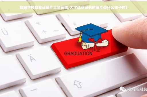 宜阳学校毕业证图片大全高清,大学毕业证书的图片是什么样子的?