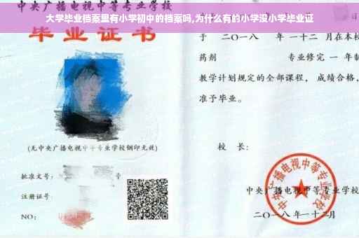 大学毕业档案里有小学初中的档案吗,为什么有的小学没小学毕业证 大学毕业档案里有小学初中的档案吗,为什么有的小学没小学毕业证