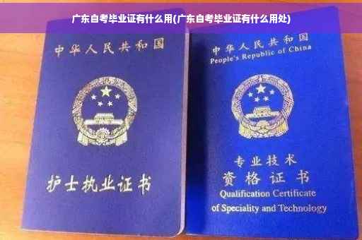 广东自考毕业证有什么用(广东自考毕业证有什么用处)