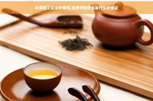 中级技工证是中专吗,技师学院毕业发什么毕业证