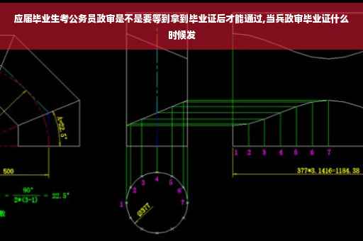 应届毕业生考公务员政审是不是要等到拿到毕业证后才能通过,当兵政审毕业证什么时候发