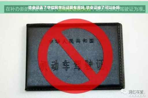 毕业证丢了学信网学历证明有用吗,毕业证掉了可以补吗