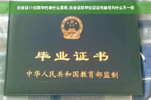 毕业证11位数字代表什么意思,毕业证和学位证证书编号为什么不一样