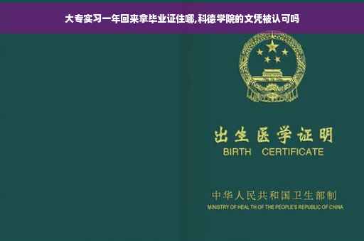 大专实习一年回来拿毕业证住哪,科德学院的文凭被认可吗