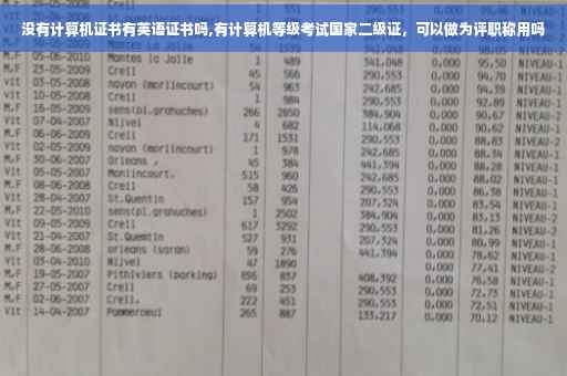 没有计算机证书有英语证书吗,有计算机等级考试国家二级证，可以做为评职称用吗