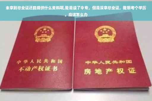 未拿到毕业证还能提供什么资料呢,我是读了中专，但是没拿毕业证，我想考个学历。应该怎么办