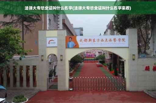 法律大专毕业证叫什么名字(法律大专毕业证叫什么名字来着)