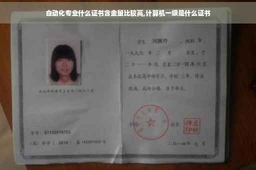 自动化专业什么证书含金量比较高,计算机一级是什么证书