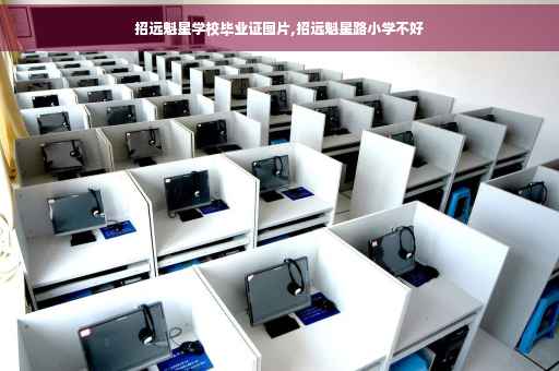 招远魁星学校毕业证图片,招远魁星路小学不好