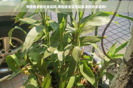 学校结业有毕业证吗,拿到结业证书后能拿到毕业证吗?