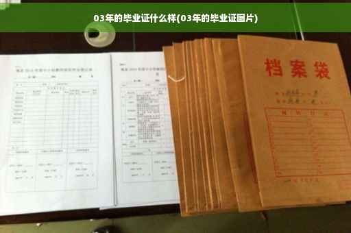 03年的毕业证什么样(03年的毕业证图片)