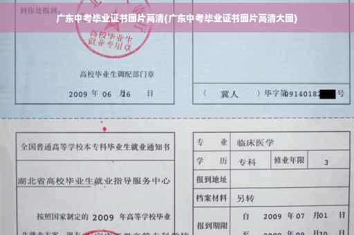 广东中考毕业证书图片高清(广东中考毕业证书图片高清大图)