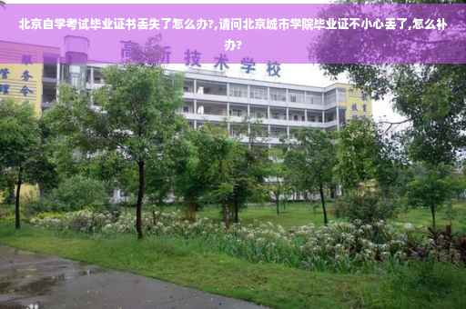 北京自学考试毕业证书丢失了怎么办?,请问北京城市学院毕业证不小心丢了,怎么补办?