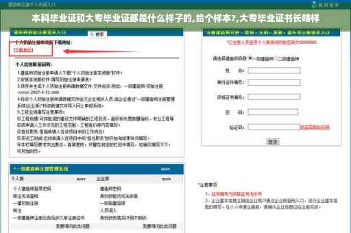 本科毕业证和大专毕业证都是什么样子的,给个样本?,大专毕业证书长啥样