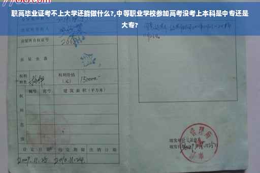职高毕业证考不上大学还能做什么?,中等职业学校参加高考没考上本科是中专还是大专?
