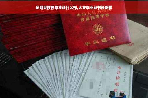 金湖县技校毕业证什么样,大专毕业证书长啥样