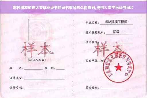 哪位朋友知道大专毕业证书的证书编号怎么能查到,统招大专学历证书图片